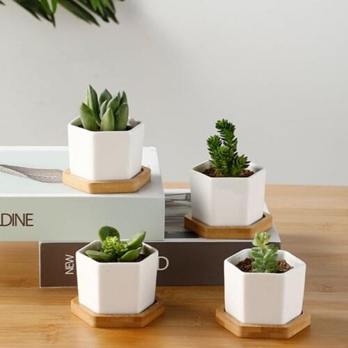 Geometic White Succulent Plant Pots Mini Succulent Planter Ceramic Flower Planter Pot with Bamboo Trays