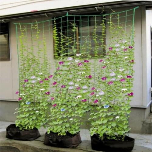 Garden Net Climbing Plant Plastic Support Mesh Clematis Pea Bean Trellis EL