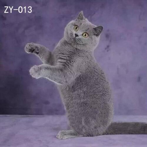 DAWNKNOW Pet Cat Photography Background Backdrop Purple Painting Photocall Muslin Pro Tie-Dyed Shoot Photo Studio Props 2x3M