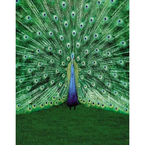 Grass Animal Green Peacock Photography Backdrops Photo Props Studio Background 5x7ft