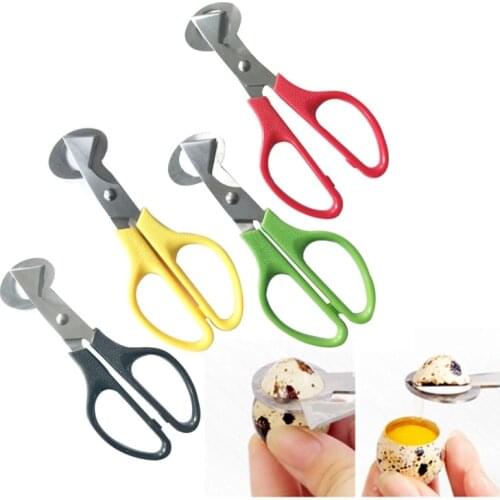 Pigeon Quail Egg Scissor Bird Cutter Opener Kitchen Tool Clipper Sale shells Scissors Cracker Cigar Stainless Steel Blade Househ