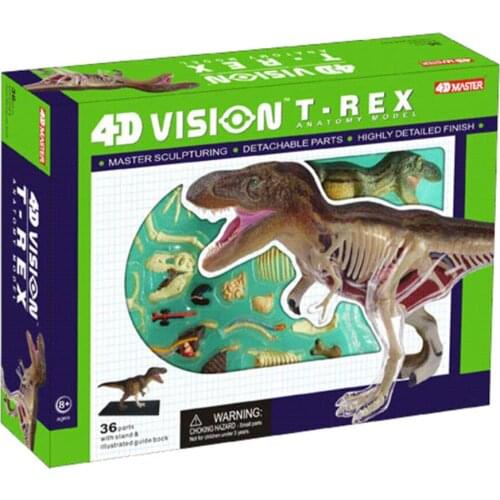4D Tyrannosaurus rex medical model of anatomy of dinosaur organs free shopping