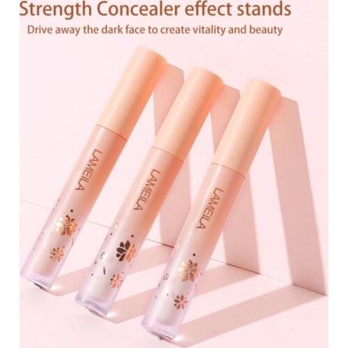 Lameila Concealers