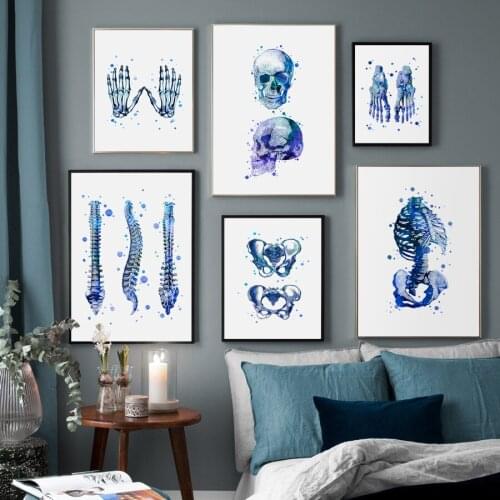Nordic Posters Prints Wall Pictures for Living Room Home DecorHuman Anatomy Artwork Medical Skeleton Wall Art Canvas Painting