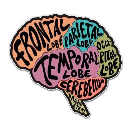 Brain - Vinyl Sticker Waterproof Decal