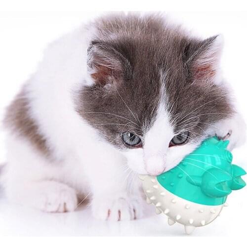 Pet supplies new pet cat funny cat toothbrush toy worry-free material pet cat chew toy support USB charging electric cat toy