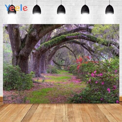 Yeele Forest Trees Bent Branches Falling Flowers Moss Background Photography Baby Photo Studio for Decoration Customized Size