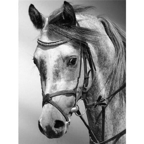 Animal Horse DIY 11CT Cross Stitch Embroidery Kits Needlework Craft Set Cotton Thread Printed Canvas Home Decoration Hot Sell