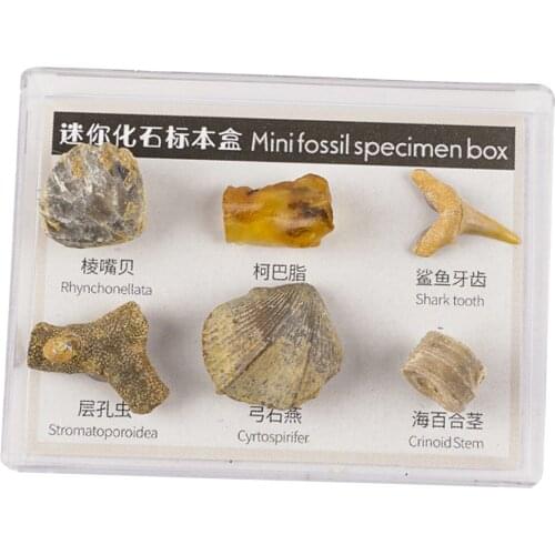 6x Mixed Stone Natural Rock Collection 1 Box Office Home Decoration Specimens Samples