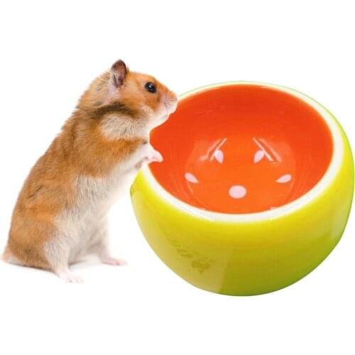 Small Pet Ceramic Bowls Creative Cute Fruit Pattern Bowl Pet Water Food Bowl For Hamster Chinchilla Rabbit Pet Feeding Supplies