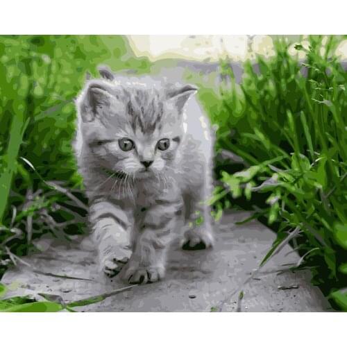 MaHuaf-i581 cute kitty in the bushes DIY oil painting by Numbers cat animal Hand-painted painting for Children Room home Decor