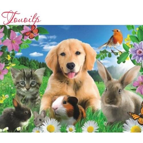 Diy Diamond Painting mosaic garden Full Diamond Embroidery animals dog and cat picture Room Decorate A Good Gift For Family