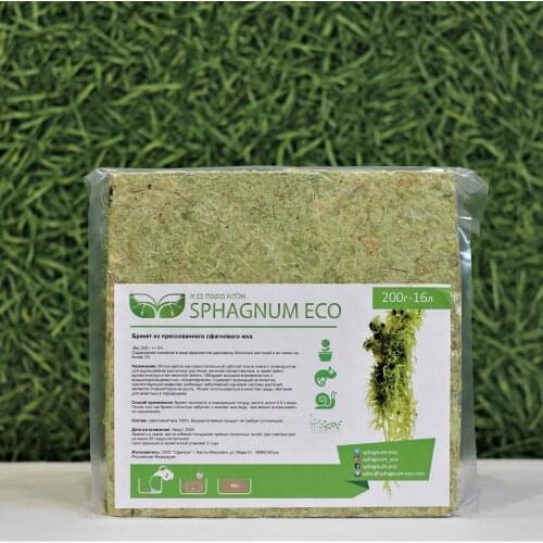 SPHAGNUM ECO Decorations For Aquariums