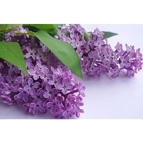 A14398 11CT/14CT/18CT/25CT/28CT tree patterns Counted Cross Stitch DIY Cross Stitch Kits Embroidery Needlework Sets