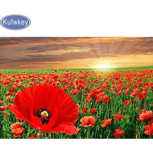 70x50cm Full diamond embroidery Poppy flower 5d diamond painting cross stitch diy diamond mosaic Poppies landscape Hotel decor