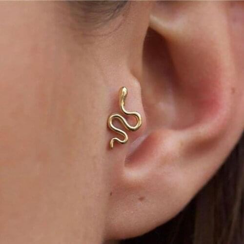 Snake Earrings For Women Stainless Steel Gold Vintage Animal Snake Stud Earring Piercing Jewelry Gift 2021 Brincos