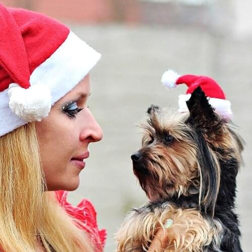 1PC Winter Dog Red Santa Claus Christmas Hats Warm Puppy Hat With Ball Plush Cloth Headwear For Puppy Xmas