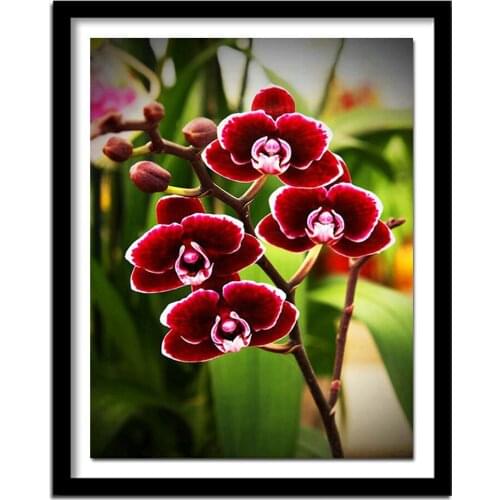 DIY 3D Diamond Purple orchids Handmade Diamond Painting Cross Stitch Kits Diamond Embroidery Patterns Rhinestones Arts