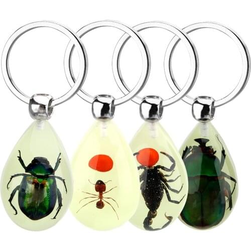 Scorpion Ant Amber Key Chains Luminous Creative Scorpion Keychain Artificial Amber Insect Car Keyring Car Accessories