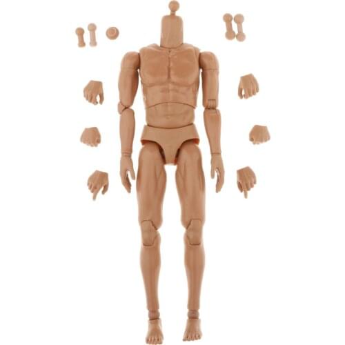 1/6th Scale Super-Flexible Muscular Male Action Figures Body 28CM Height with Spare Hands