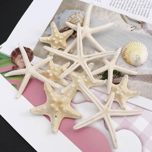 5-8cm 4pcs small Starfish Beach Craft Natural Sea Stars Craft Decoration DIY Handmade Accessories