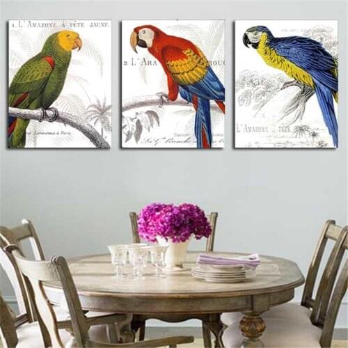 3Pcs Art Picture Colorful Parrot Bird For Home Decoration Wall Paint Oil Painting Print On Canvas For Living Room Without Frame