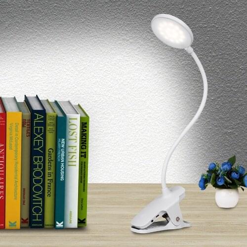 CAIYUE Desk Lamp