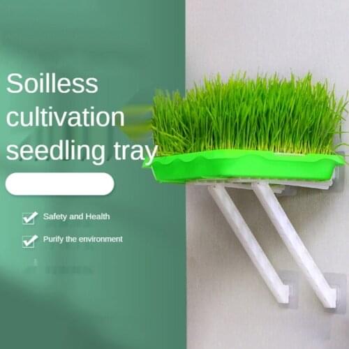 Seed Sprouter Tray 2 Layer Soilless Hydroponic Nursery Pot Germination Planter