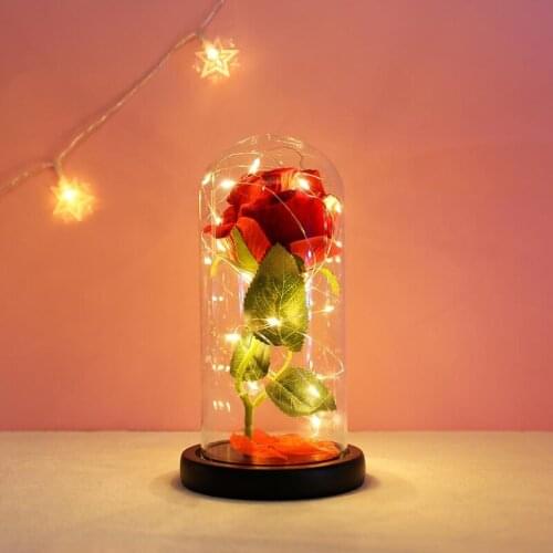 Imitation Pearls Rose Flower in Glass Dome with LED Light Forever for Valentines Day Gift Wedding Anniversary Christmas Decorat