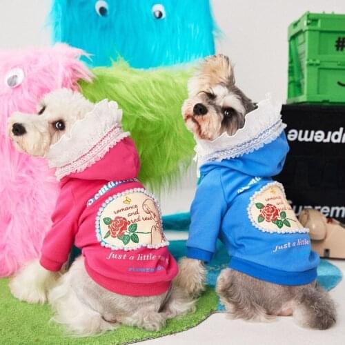 Pet Dog Clothes for Small Dogs Cotton Hoodie for French Bulldog Yorkies Outfit Puppy Clothing with Lace Hood Pet Dog Accessories