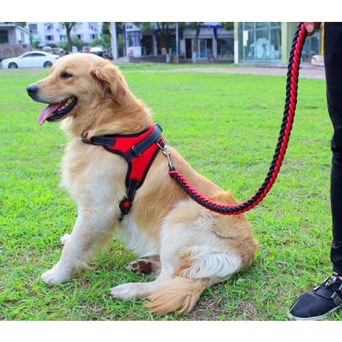 ORANGE LEAF Animal Decorations