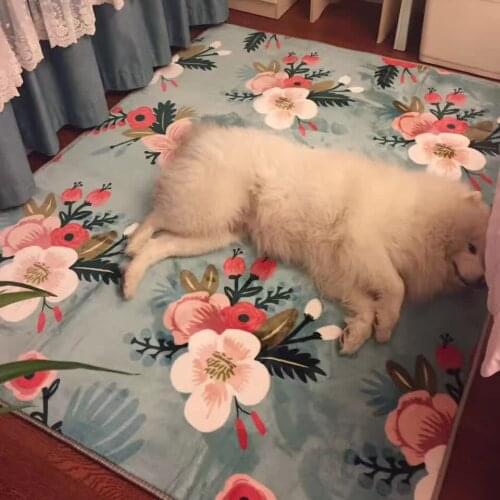 Child Crawl Mat/Carpets For Living Room Study Room Bedroom Coffee Table Big Size Carpet Rectangle Home Rug Large Area Window Bay