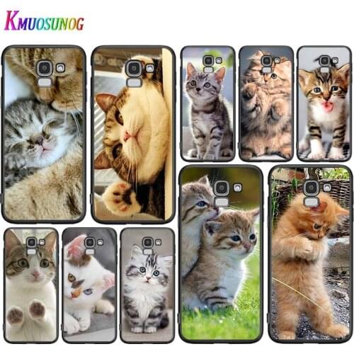 Funny Kitten Cat For Samsung Galaxy J2 J3 J4 Core J5 J6 J7 J8 Prime duo Plus 2018 2017 2016 Silicone Phone Cover