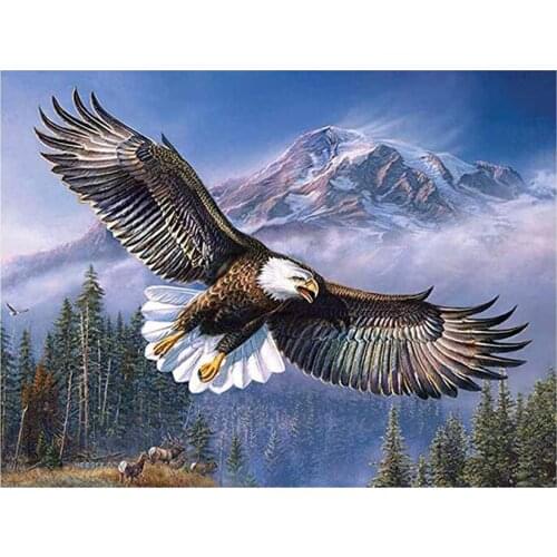 Full Round/square Diamond Painting animal bird"flying eagle"5D Diy Diamond Embroidery Rhinestones craft Home Decor new LG2705