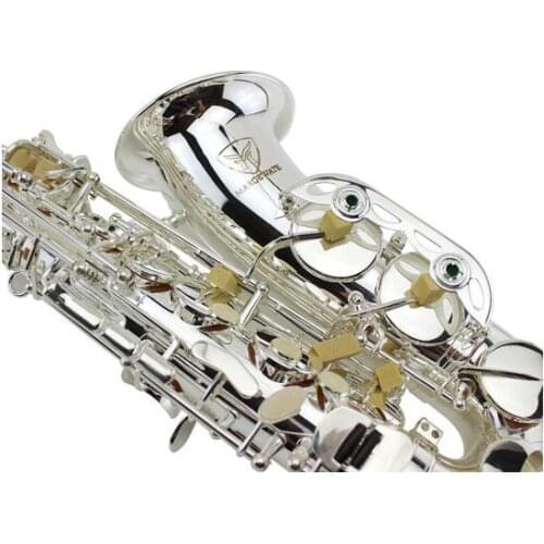 MARGEWATE Alto Saxophone MAS-103 for Beginner Silver Plated E flat Sax with Case Good Condition