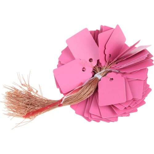 100 Pcs New Listing Gardening Label Nursery Bonsai Label Plastic Plant Type T Label Plant Pot Planter Vegetable Label Tag