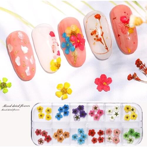 A Box Of Dried Manicure Natural Plant Materials For Nail Art Manicure Jewelry Nail Art Material Accessories