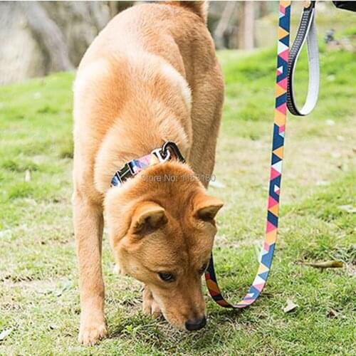 10sets/lot Personalized Dogs Collars Nylon Dog Collar Leash Set Safety Buckle for Small Medium Large Dogs Pet Leash