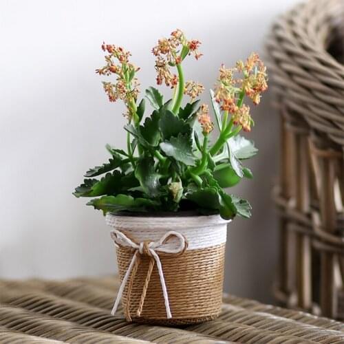 Paper Rope Woven Planter Basket Square/Round Home Decoration Succulent Pots Cactus Planter Home Gardening Plant Planting