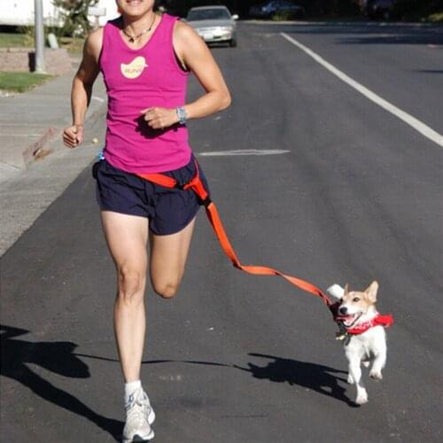 CW006 New waist pet dog leash jogging Nylon puppy dog collar lead sport adjustable walking leash for small dogs drop shipping