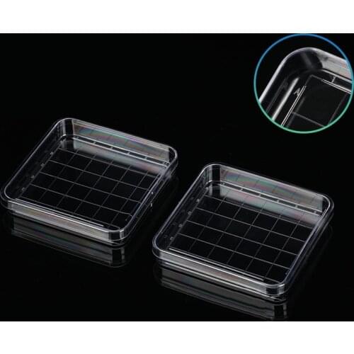 New High Quality Laboratory analysis Disposable Plastic Polystyrene Petri Dishs 10*10cm,Sterile,10pcs/pack