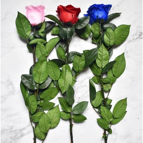 30cm Preserved Rose Flower Barbed Rose Flores For ValentineS Day Gift Wedding Marriage Home Party Decoration