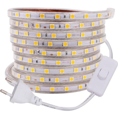 220V 110V 5050 LED Strip Light 60LED/M Flexible Strip LED Light Waterproof Tape Lights with Switch Plug Home Decoration 1m~100m