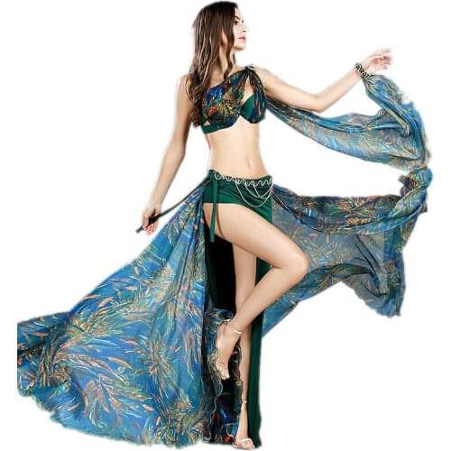 Women Belly Dance Skirts Costume Set 3pc Professional Dancing Clothes Bra Skirt Waist Chain Armband Oriental Bellydance Clothing