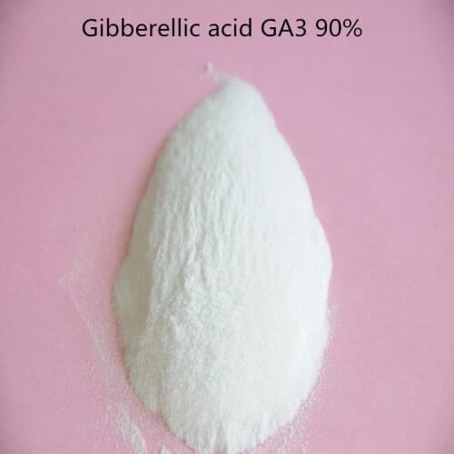 1KG Gibberellic acid//Gibberellin /GA3 / gibberellic acid ga3 90% Plant Growth Hormone Free Shipping Available
