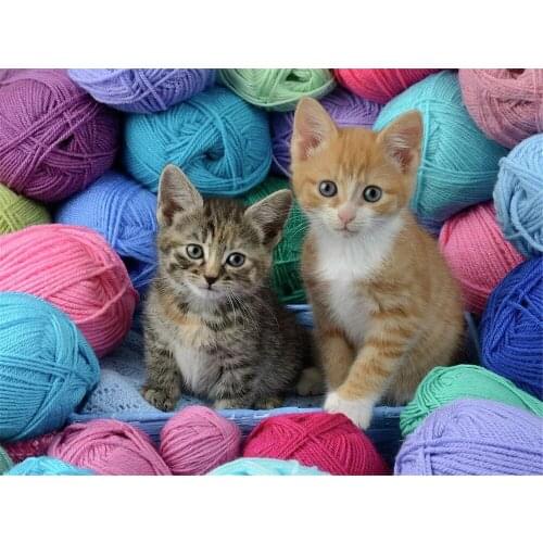 Cat Animal DIY 11CT Cross Stitch Embroidery Kits Craft Needlework Set Printed Canvas Cotton Thread Home Decoration Room