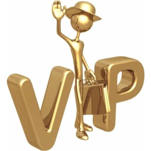 Vip sweaters for cactus