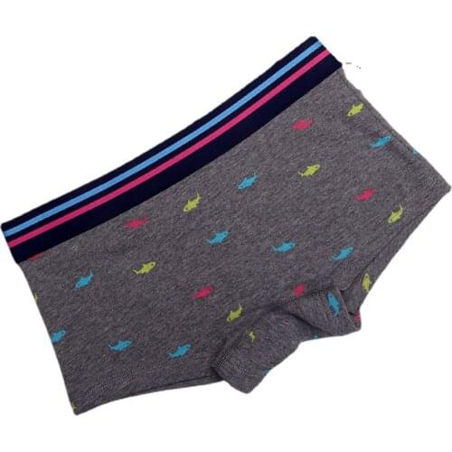 HaleyChan Simple Lattice Boyshort 1 Pack Boxer Briefs for Tomboy Trans Lesbian Transgender Womens Neutral Underwear Mid-Rise