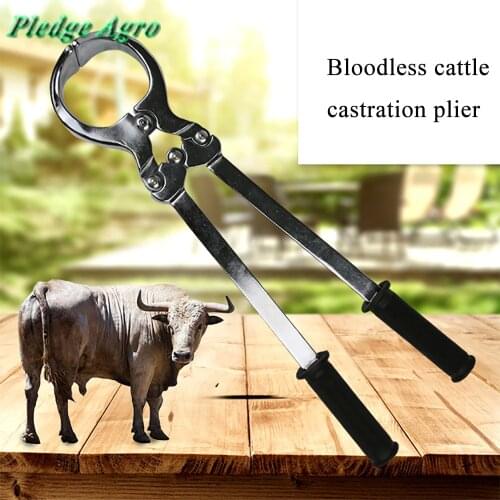 Burdizzo castrator cattle castration knife pliers tool device veterinary instruments rimer emasculator bloodless clamp forcep
