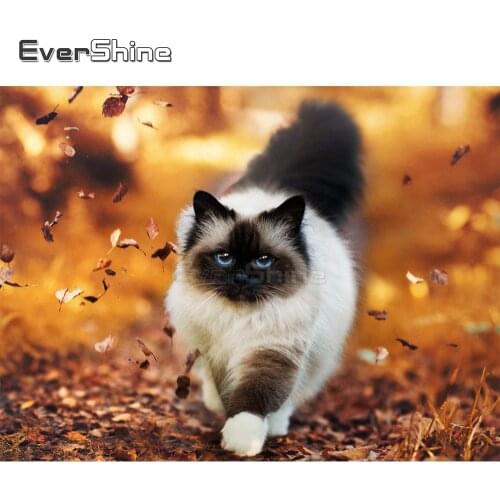 EverShine 5D Diamond Painting Animals Full Square Cross Stitch Diamond Embroidery Sale Rhinestones Art Cat Home Decoration